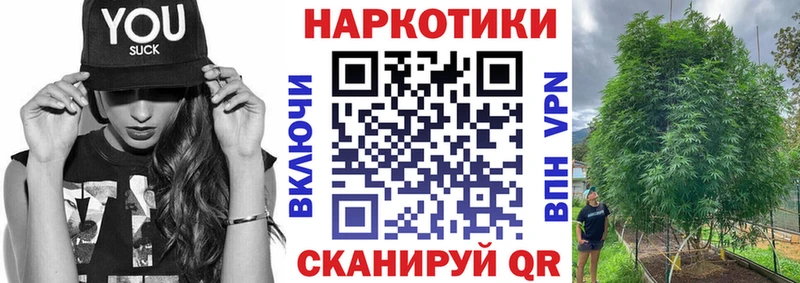 Купить наркоту Волгореченск СК  КОКАИН  Мефедрон  АМФ  ГАШ  Марихуана 