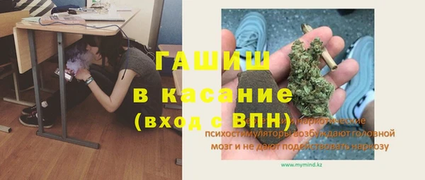 амф Бородино