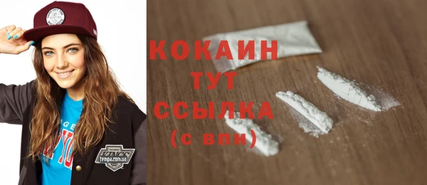 молекула духа Богородицк
