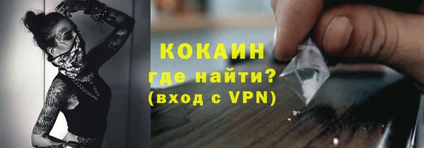 амф Бородино