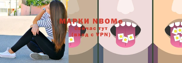 молекула духа Богородицк