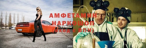 молекула духа Богородицк