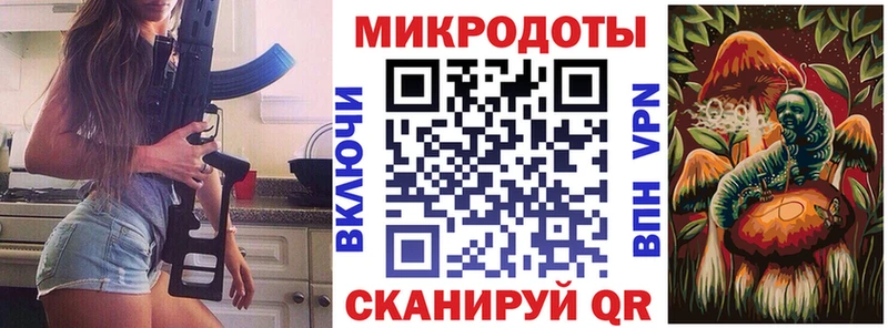Псилоцибиновые грибы Psilocybine cubensis  Волгореченск 